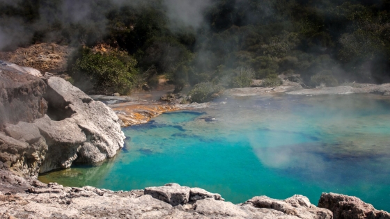 NUEVA ZELANDA Y AUSTRALIA